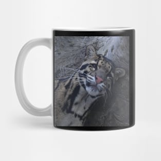 Clouded Leopard Mug